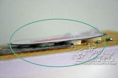 IMG_6407web