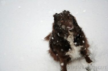SadieSnow
