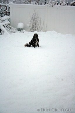 SadieSnow3