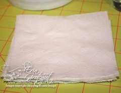 IMG_8229web