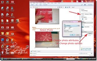 WLVPHotos2Web